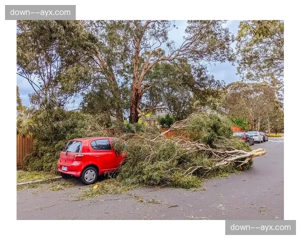 天气预报：曼联客战卢顿预计将遭遇大风降雨天气