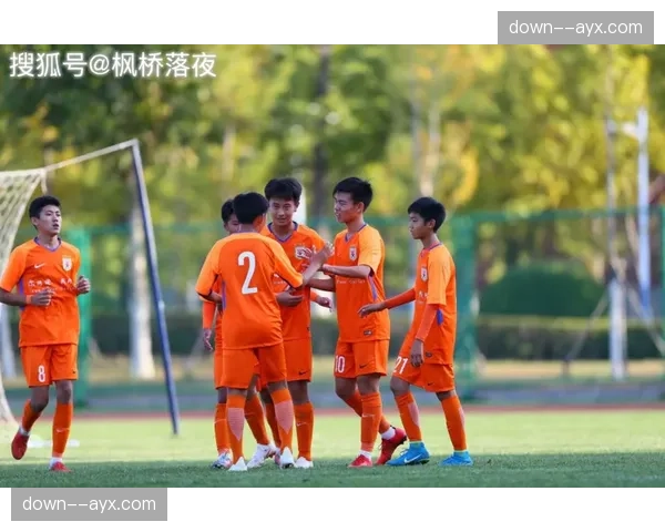 德国业余足球报告：德甲俱乐部青训营注册青少年人数持续增长